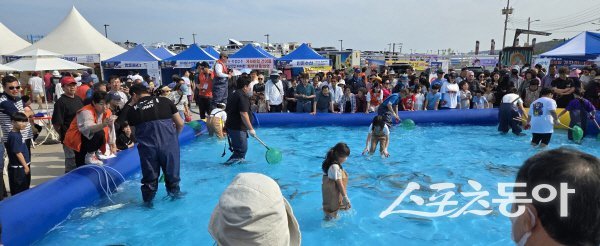 제4회 감포항 가자미축제 행사장에서 시민들과 관광객들이 가자미 잡기 체험을 하고 있다. 사진제공 ㅣ 경주시