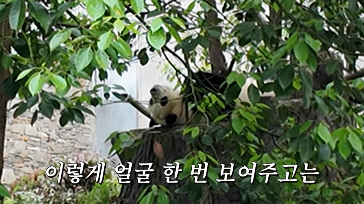 유튜브 ‘김숙티비’ 채널 캡처