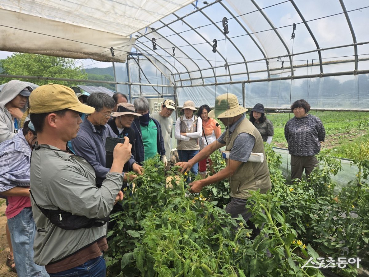 10일 ‘2025년 포천시 신규농업인 기초영농기술교육’의 일환으로 관내 우수 농가 3곳을 현장 견학하고 있다.  사진제공ㅣ포천시