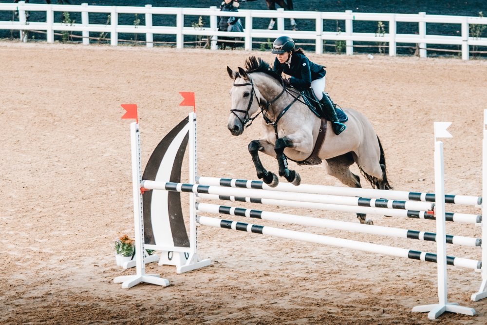 말레이시아로 수출된 한국 승용마 한화루카랜드의 경기 모습 사진제공|한국마사회