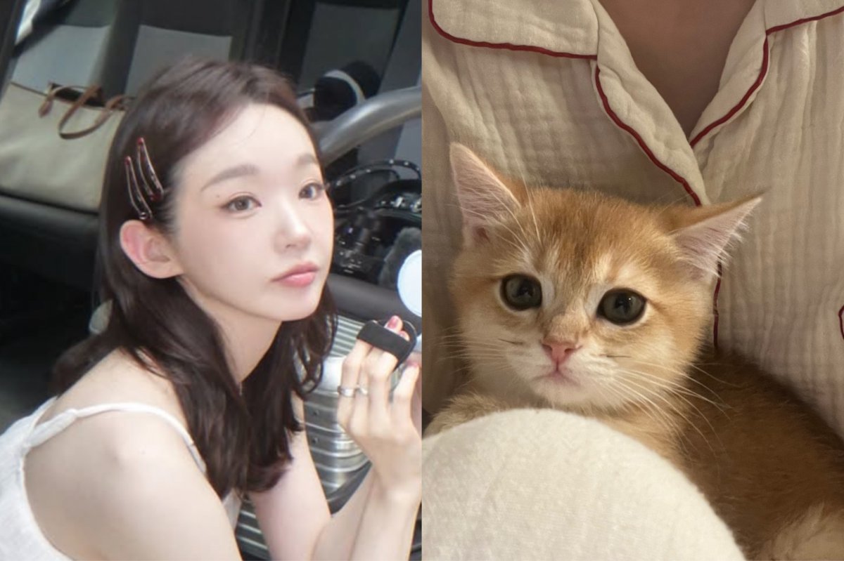 강민경 소셜 캡처