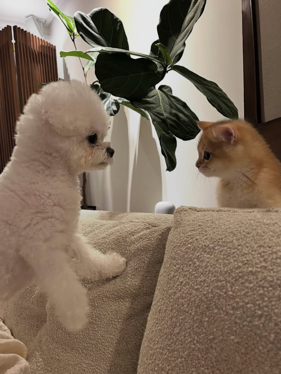 강민경 소셜 캡처