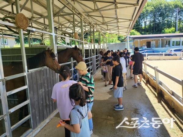 예천승마클럽에서 관내 초·중·고 학생들이 승마 체험 프로그램에 참여하고 있다. 사진제공 ㅣ 예천군