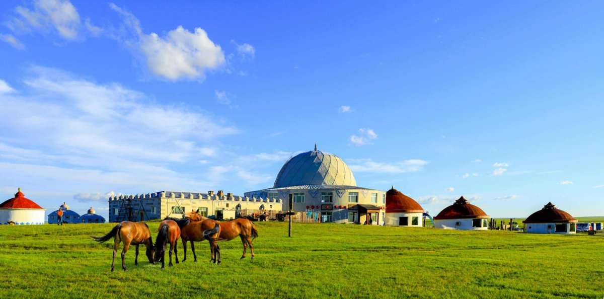 몽골의 여름 사진제공|교원투어