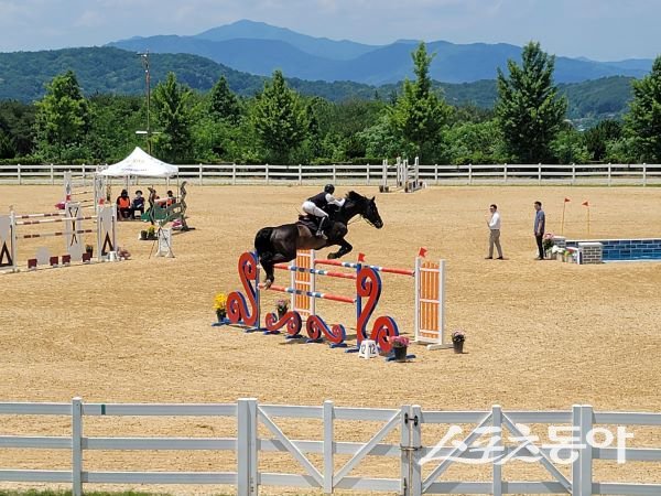 상주국제승마장에서 개최된 제41회 대통령기 전국승마대회에서 선수들이 시합하고 있는 모습. 사진제공ㅣ상주시