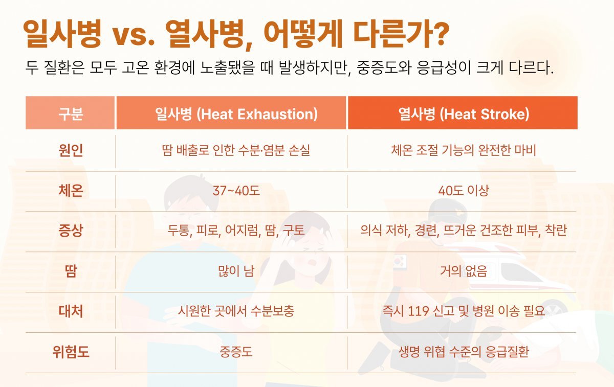 인포그래픽 ｜H+양지병원