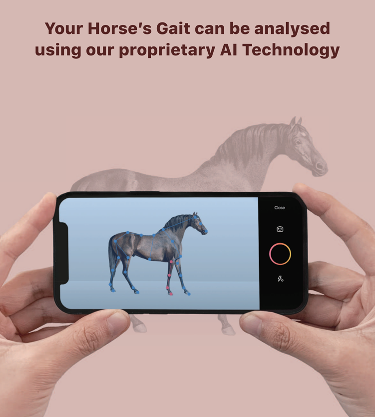 마사회가 국내기업 에이아이포맷과 공동개발한 경주마 보행 진단 기술. 경주마 부상 시 수의사의 진단을 보조해 말 복지 시스템 구축에 크게 기여할 것으로 기대되고 있다    사진제공｜한국마사회