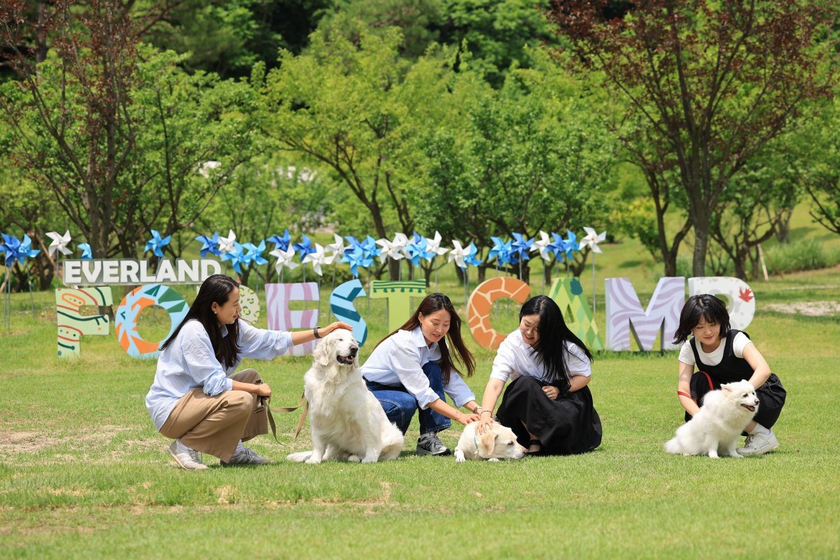 에버랜드 반려견 동반 비타민 캠프 ‘멍하니 걷개’ 사진제공|에버랜드