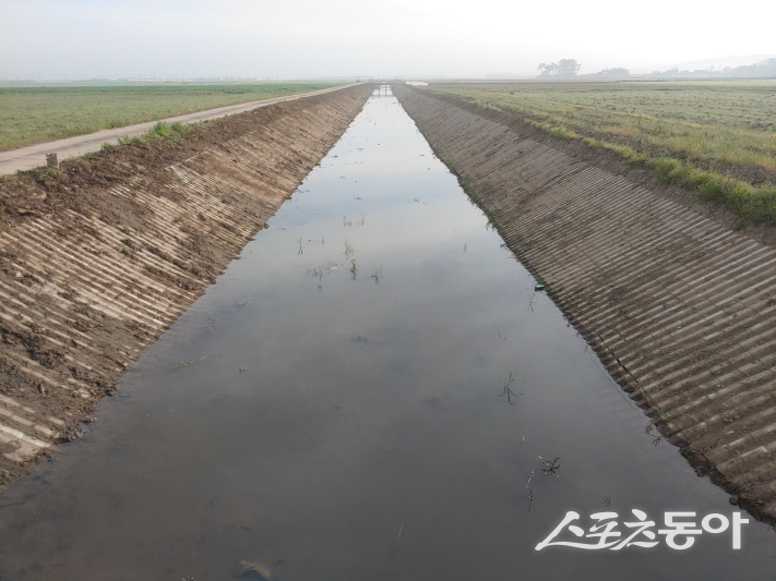 한국농어촌공사가 최근 실시한 배수로 준설 진행 후 모습. 사진제공=한국농어촌공사