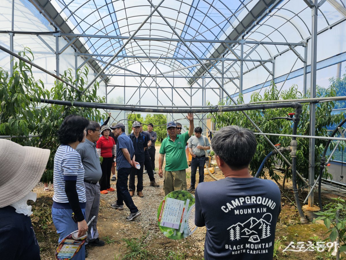 경산농업인아카데미 교육생들이 복숭아 선도농가에서 시설 견학을 하고 있다.  사진제공 ㅣ 경산시