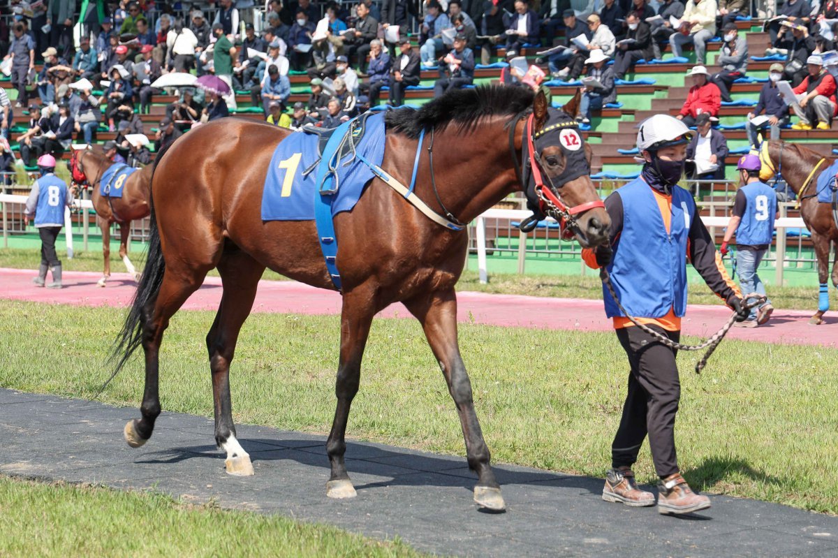 만대로 사진제공|한국마사회