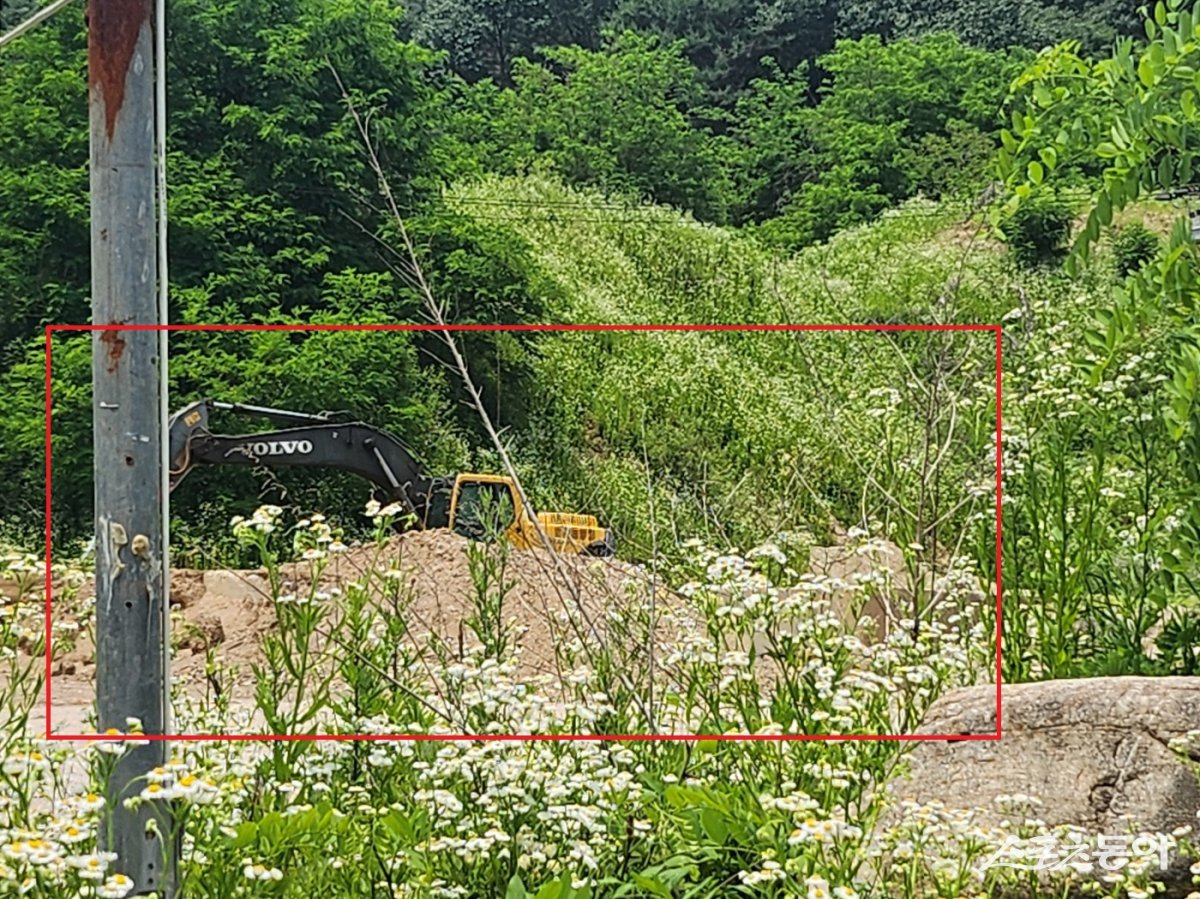 지난 19일 제천시 금성면 양화리 482-2번지 일대(현장 취재 ). 사진|장관섭 기자