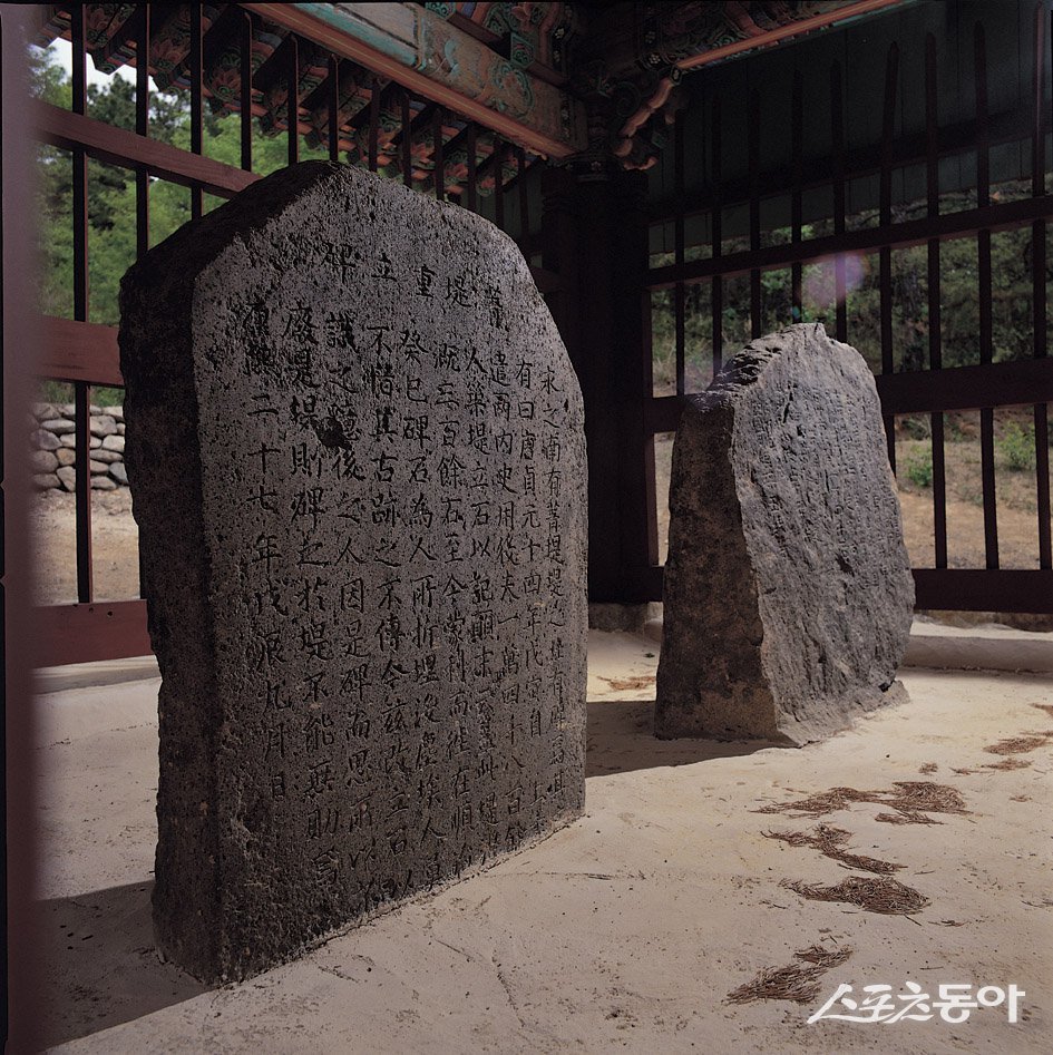 영천시 도남동 소재 저수지인 청제에 있는 청제비 전경. 사진제공 ㅣ 영천시