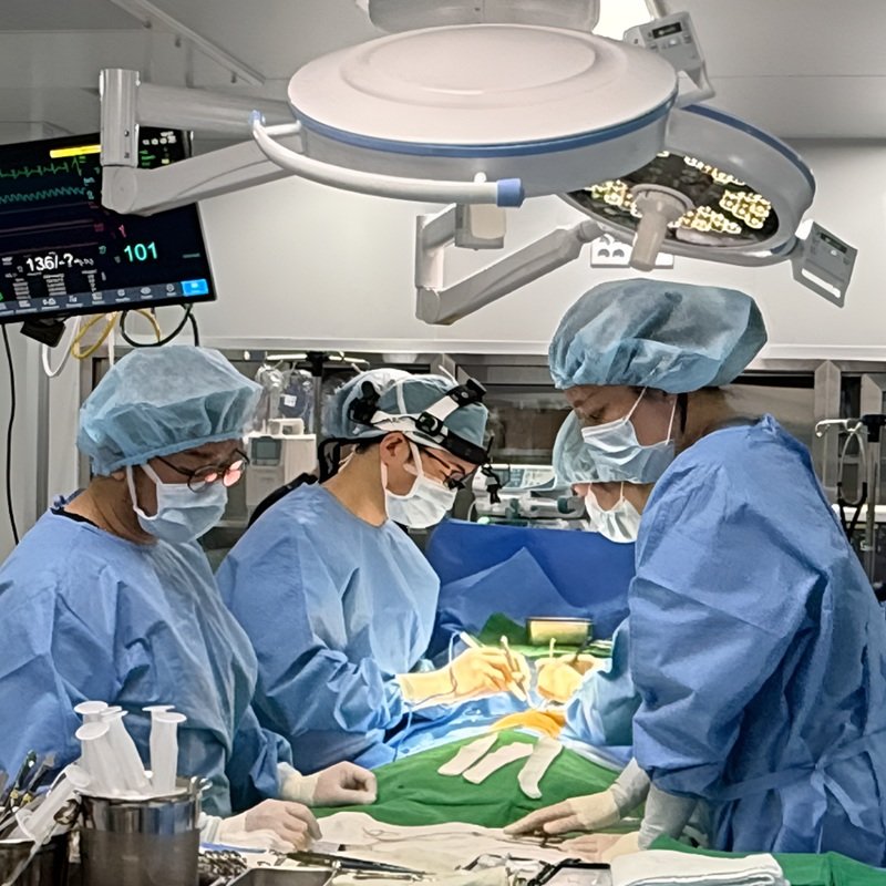 사진제공ㅣ넬동물의료센터