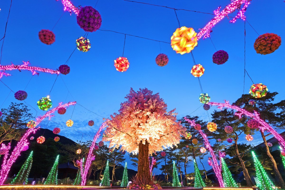 괴강불빛공원의 야경. 경관조명과 미디어파사드 등으로 화려하게 꾸몄는데, 전망대에 올라서면 별빛다리의 화려한 음악쇼가 보인다 사진제공|괴산군