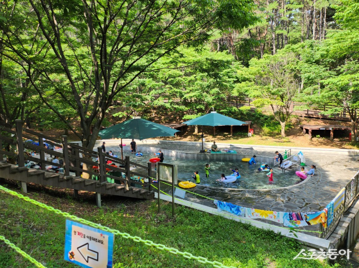 운주산승마자연휴양림내 수영장 전경.  사진제공 ㅣ 영천시