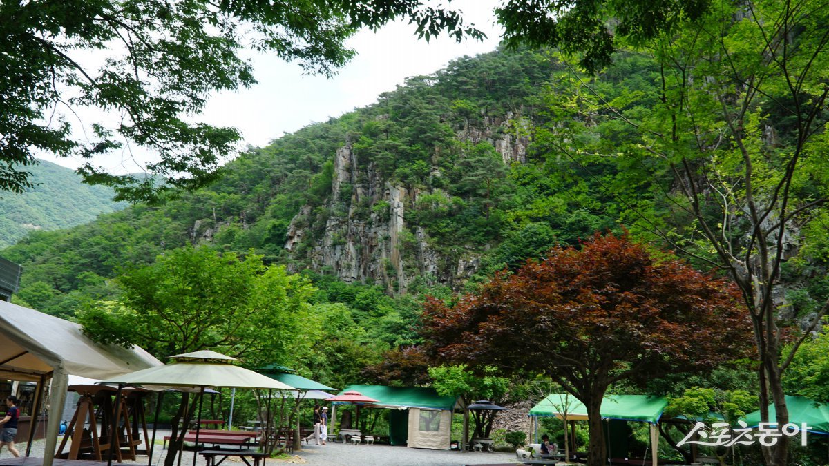 쌍곡구곡 중 가장 아름다운 절경으로 꼽히는 군자산.마치 금강산 일부를 옮겨놓은 것 가다고 해서 ‘충북의 소금강’으로 불린다 괴산|김재범 기자 oldfield@donga.com