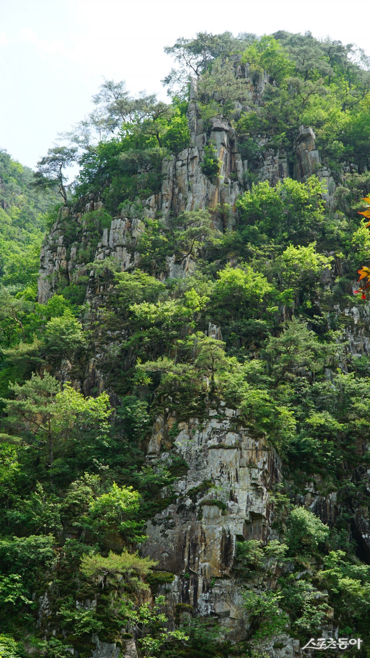 쌍곡구곡 중 가장 아름다운 절경으로 꼽히는 군자산. ‘충북의 소금강’이란 찬사답게 기기묘묘한 바위와 절벽의 자태가 아름다움을 넘어 신비로울 정도다 괴산|김재범 기자 oldfield@donga.com