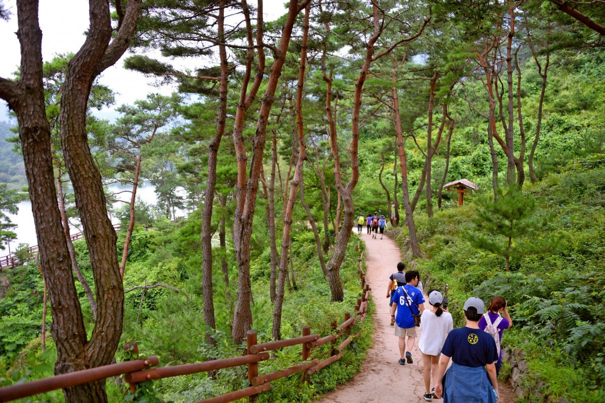 괴산 산막이옛길. 괴산호와 군자산 절경을 옆으로 보면서 이어지는 산속 오솔길로 7km, 편도 2시간30분 정도 걸린다 사진제공|지엔씨이십일