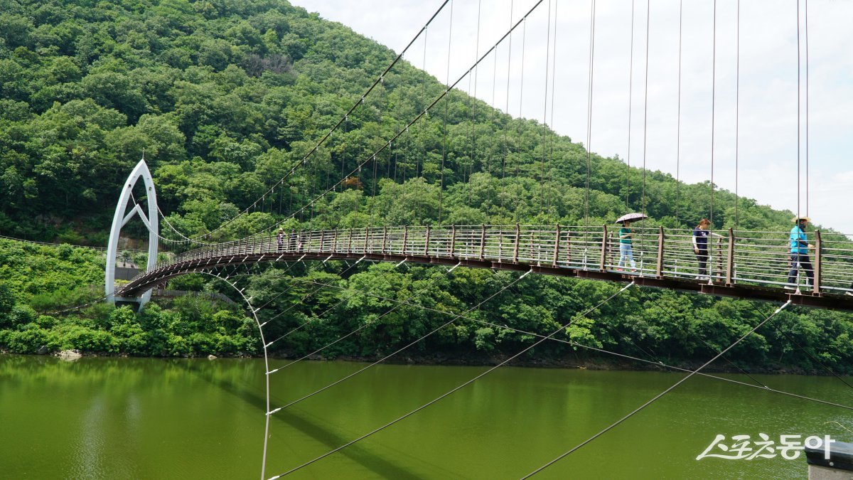 산막이옛길의 명소 중 하나인 연하협구름다리. 길이 167m, 폭 2.1m의 현수교로 다리에서 바라보는 괴산호 풍광과 흔들리는 스릴이 매력이다 괴산|김재범 기자 oldfield@donga.com
