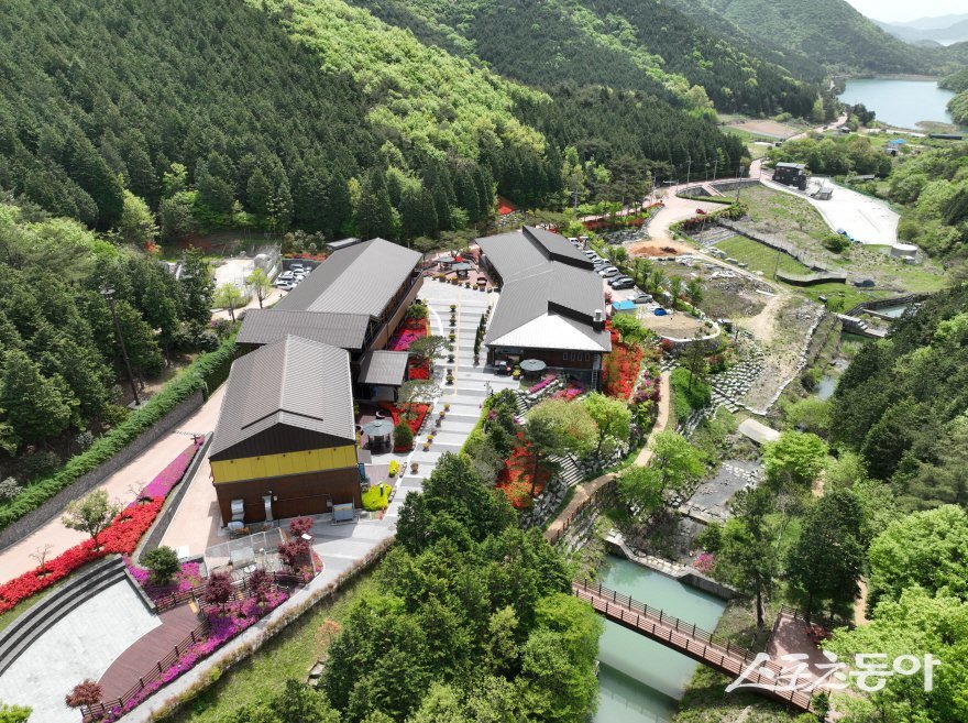 고흥군 팔영산 편백 치유의 숲. 사진제공=고흥군