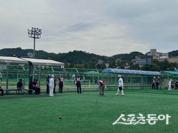 제9회 봉화군수기 게이트볼대회가 성황리에 개최됐다. 사진제공 ㅣ 봉화군