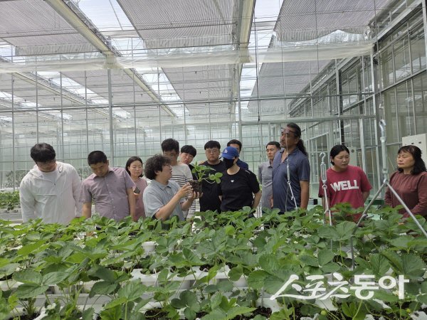봉화군이 스마트팜 심화과정 청년 농업인에게 스마트 농업 교육을 진행하고 있다. 사진제공 ㅣ 봉화군