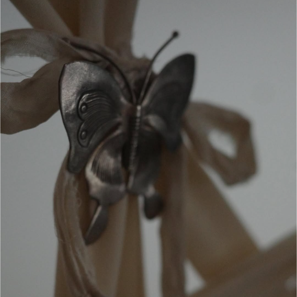 이효리 소셜 캡처