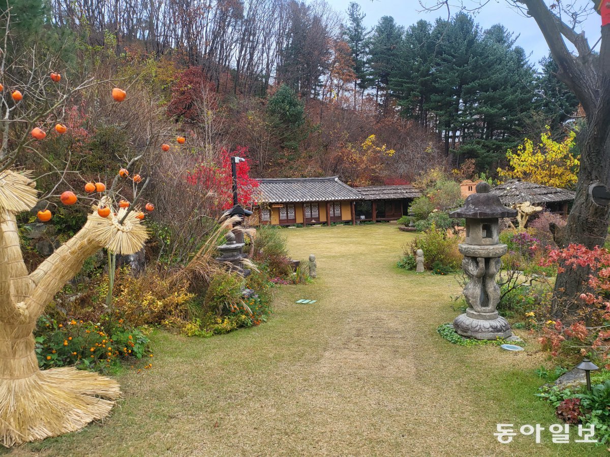 DL1202311160000683145