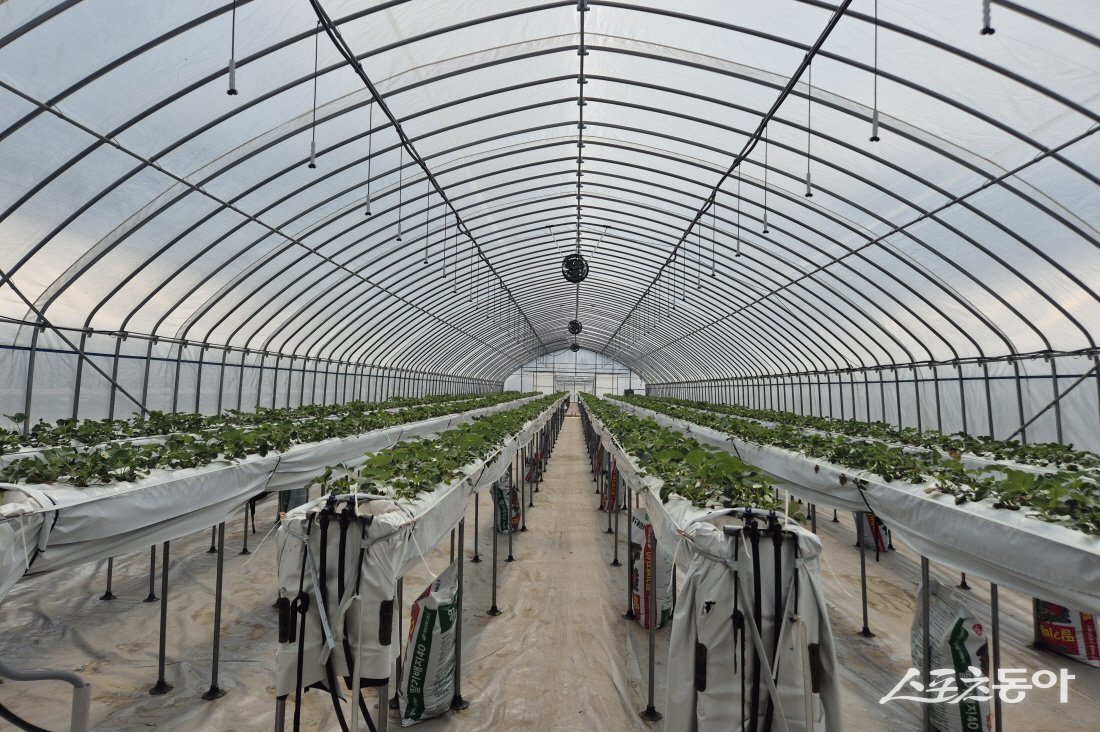 무주군 시설하우스. 사진제공=무주군