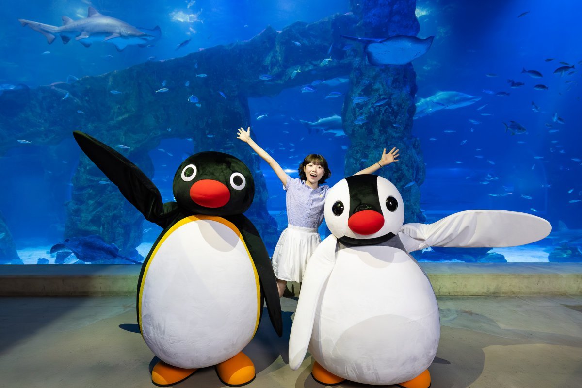 롯데월드 아쿠아리움 메인 수조에서 진행하는 포토타임. 거대한 수조를 배경으로 핑구, 훔볼트 펭귄 인형 등과 하루 2회 사진을 찍을 수 있다 사진제공|롯데월드 아쿠아리움