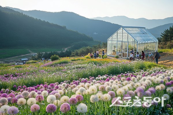 봉화군이 소규모 마을 활성화 공모사업에 선정돼 추진하는 시범마을 구축사업 온실카페. 사진제공 ㅣ 봉화군