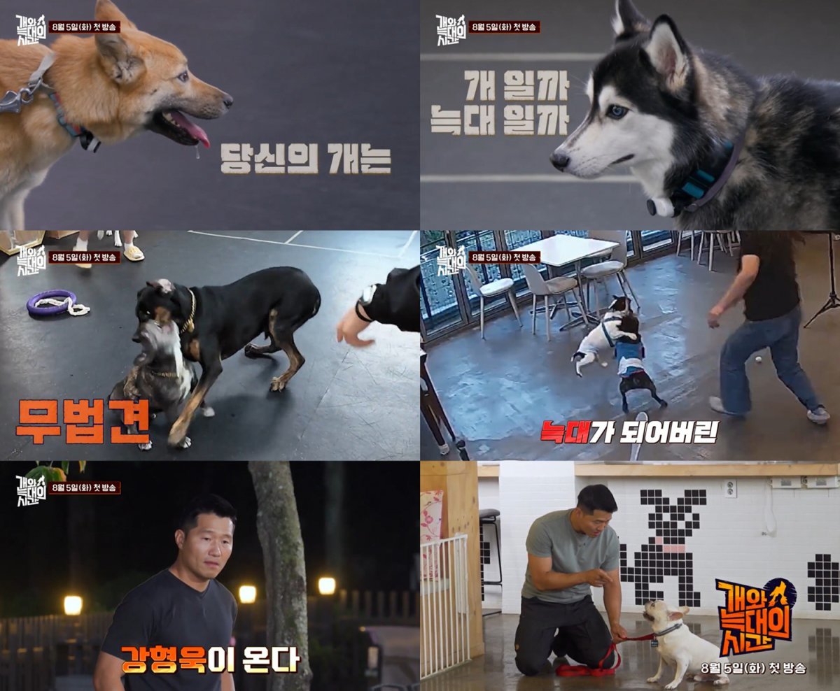 사진제공｜채널A