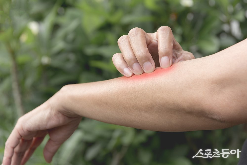 (사진출처=클립아트코리아) 보도와 연관없음.