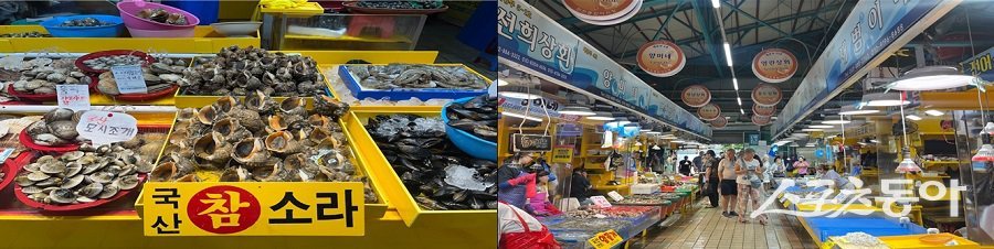 인천광역시(시장 유정복) 지난 10일 보건환경연구원은 2025년 1월부터 6월까지 인천 지역에서 유통 중인 수산물 714건을 대상으로 안전성 검사를 실시한 결과, 모든 검사 대상 수산물이 기준치 이내로 적합했다(왼쪽부터 수산물 수거(진열상품), 어시장 전경). 사진제공|인천시