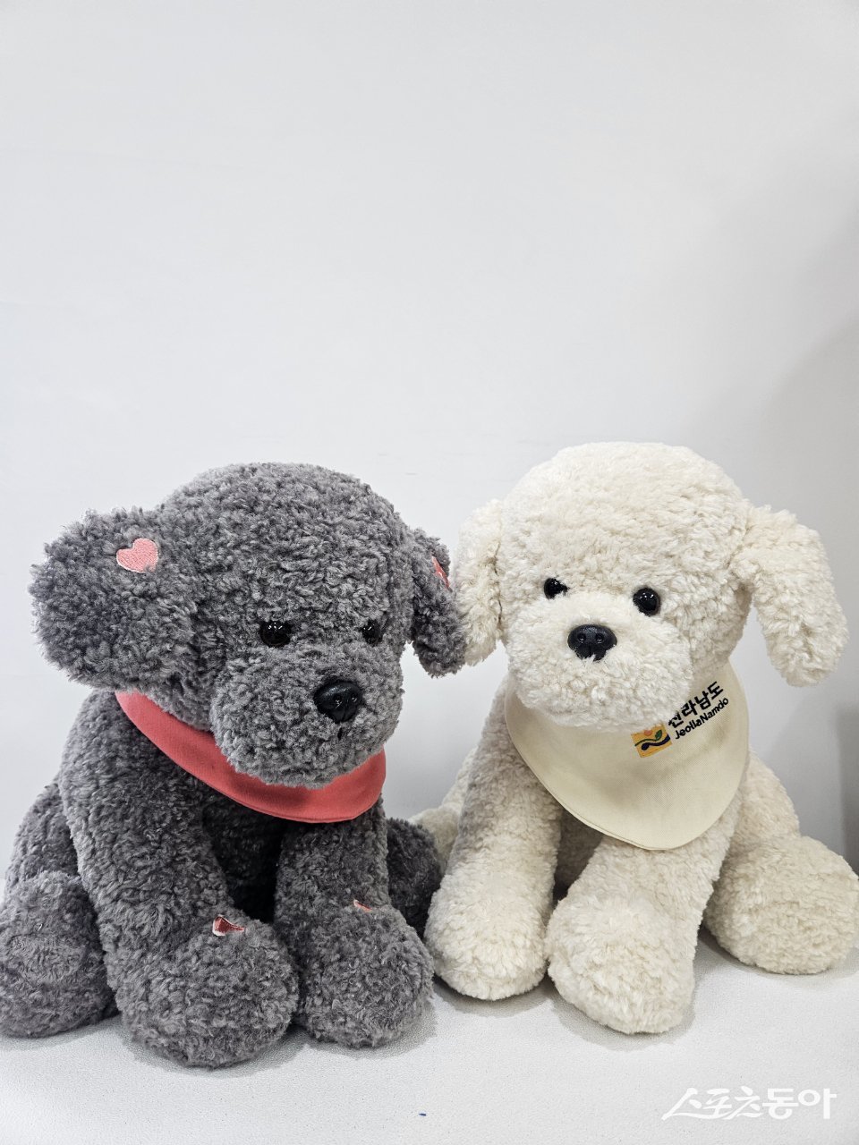 AI 반려돌봄 로봇. 사진제공=전남도