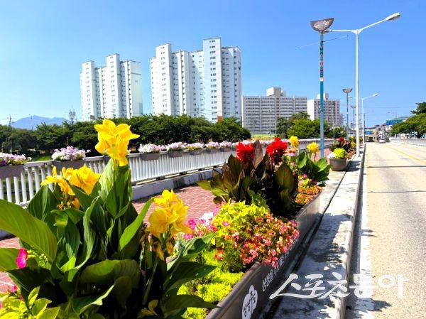 상주시 열대풍 거리화단 모습. 사진제공ㅣ상주시