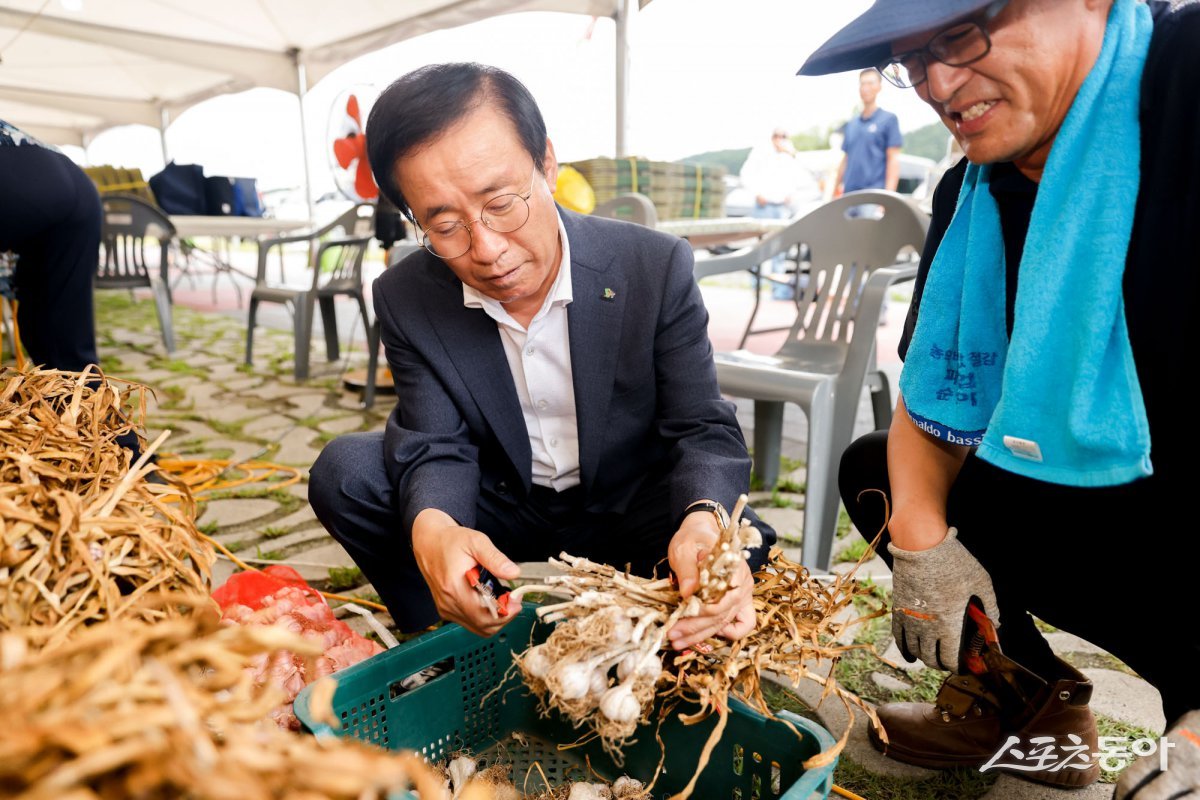 충북 단양군의 대표 농특산물인 한지형 단양마늘을 주제로 한 ‘제19회 한지형 단양마늘축제’가 오는 7월 18일부터 20일까지 3일간 단양생태체육공원에서 열린다(지난해 단양마늘축제 모습). 사진제공｜단양군