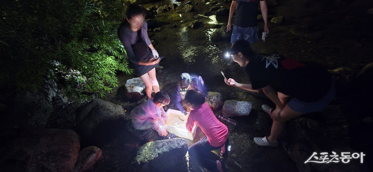충북 단양군의 대표 캠핑 명소인 다리안관광지에서 자연과 함께하는 ‘힐링 캠핑 워케이션’ 프로그램이 진행돼 참가자들로부터 큰 호응을 얻고 있다(캠핑스쿨 모습). 사진제공｜단양관광공사