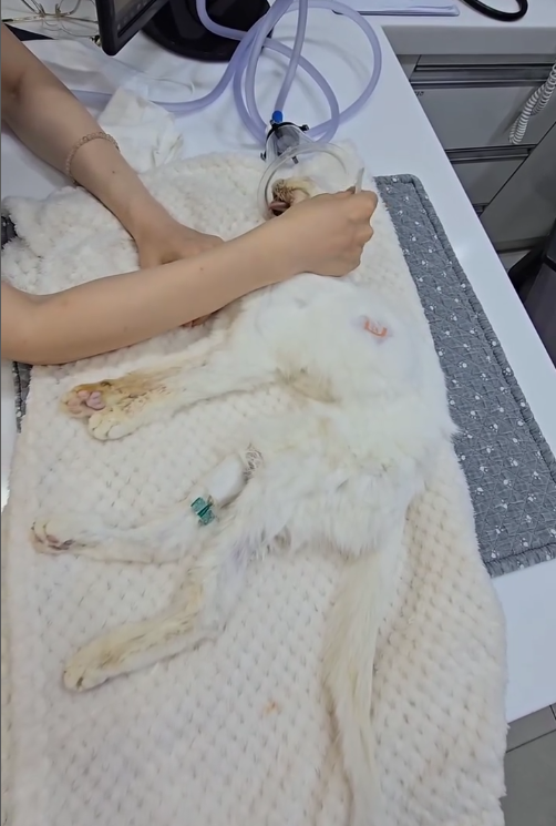 사진제공| 김정난 SNS