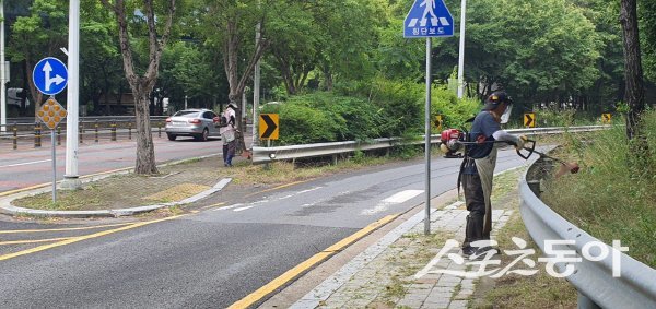 대구광역시 북구 국우동 관변단체 회원들이 잡풀 제거 및 환경정비 활동을 실시하고 있다. 사진제공 ㅣ 북구