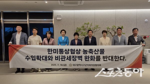 뱸ñȸȸ, 깰  ӿ  ݹ