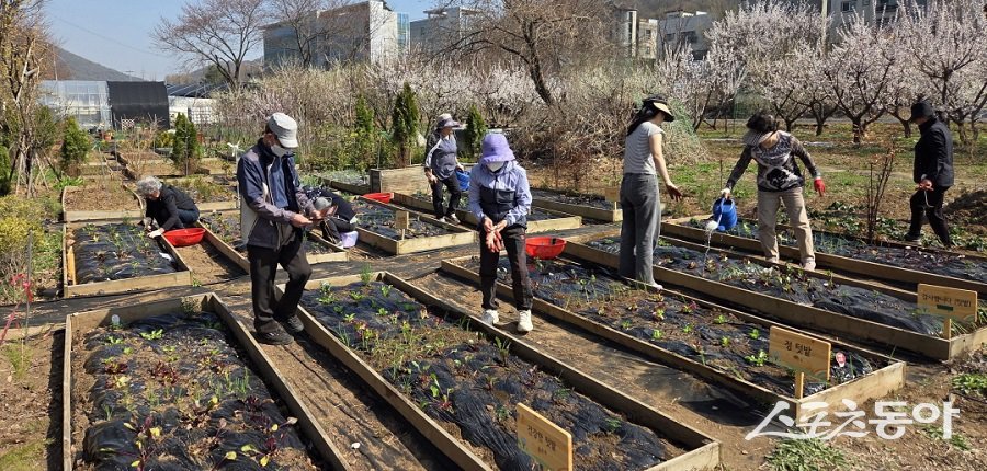 ÀÎõ ¼±¸, ¡®½Ç¹ö³óºÎÀÇ ±â¾ïÅԹ硯 Ä¡À¯³ó¾÷ ÇÁ·Î±×·¥ ÁøÇࡦ¿À°¨ ÀÚ±Ø