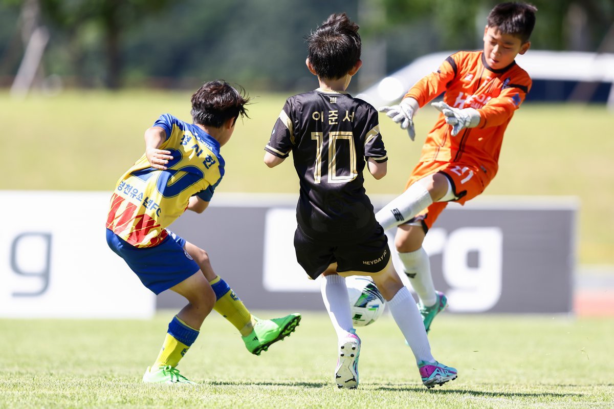 ‘영덕 풋볼 페스타 서머리그’가 25일부터 28일까지 영덕군 일원에서 개최된다. 다양한 연령대의 대회가 진행되는 것은 물론, 해외교류연수 지원과 상금 및 부상이 준비돼 있어 눈길을 끈다. 지난해 열린 대회에서 경기 중인 유소년 선수들. 사진제공|베스트일레븐