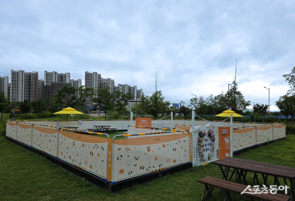 양주시,이동식 반려견 놀이터.  사진제공ㅣ양주시 