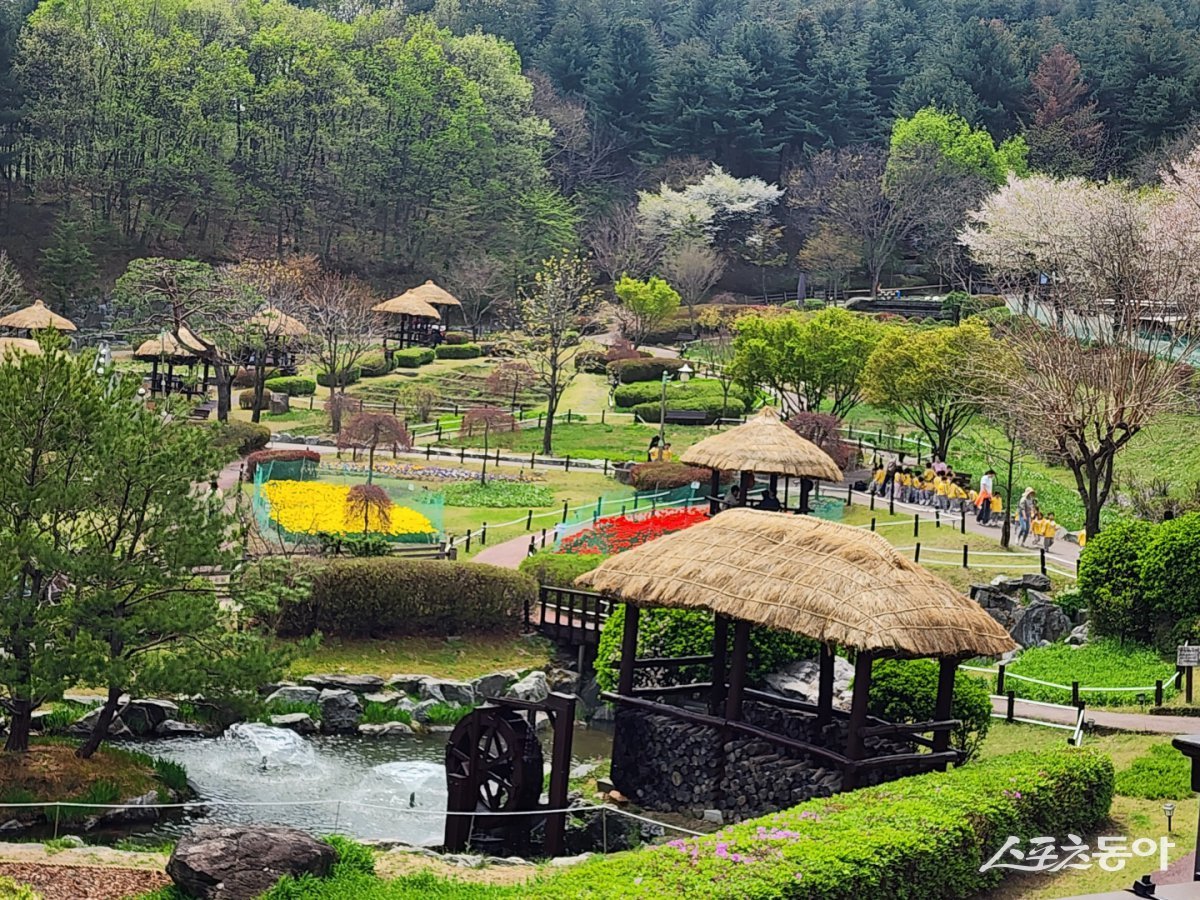 용인특례시(시장 이상일)가 지난 21일 산업통상자원부가 주관하는 ‘2025년도 서비스로봇 실증 공모사업’에 최종 선정됐다(농촌테마파크 여름철 전경). 사진제공｜용인시