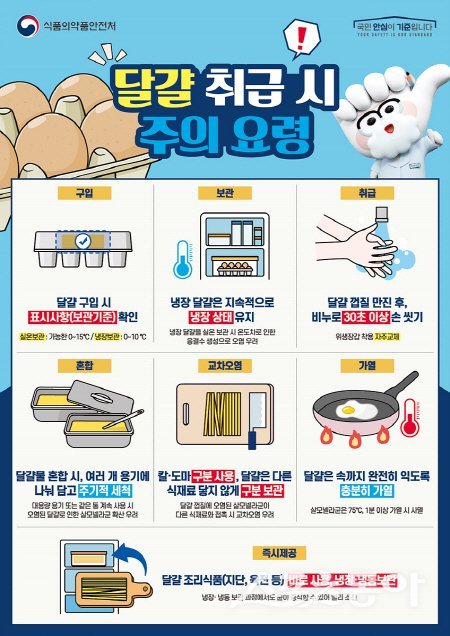 달걀 취급시 주의요령 안내도. 사진제공 ㅣ 대구시