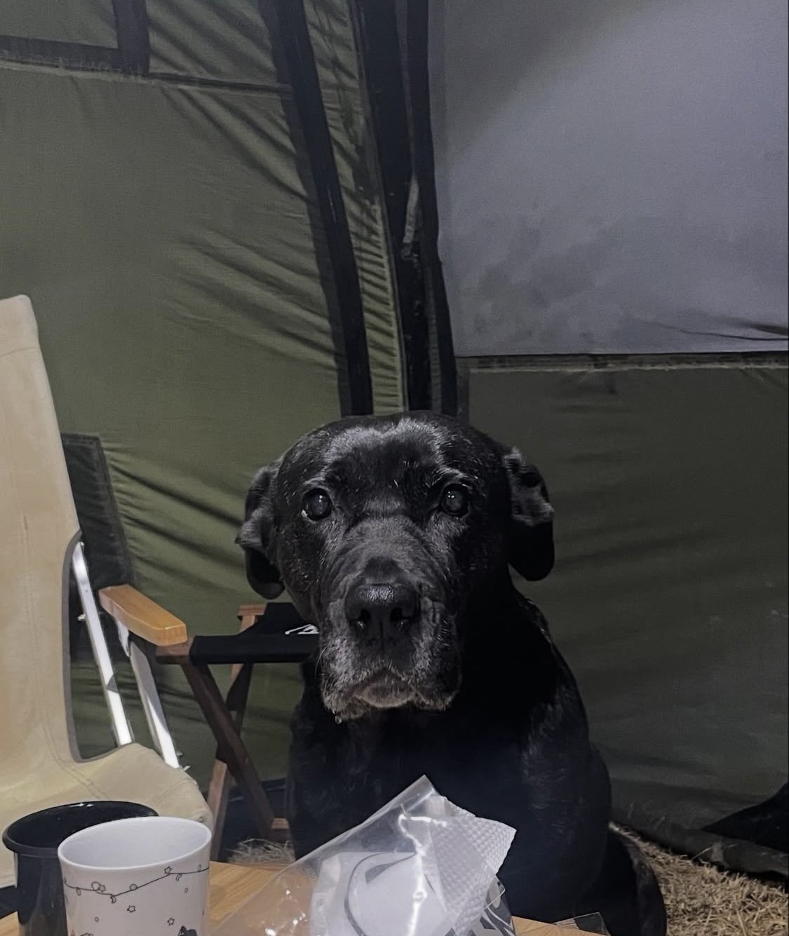 전혜진 소셜 캡처