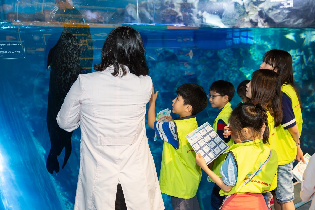 아쿠아 패밀리 캠프