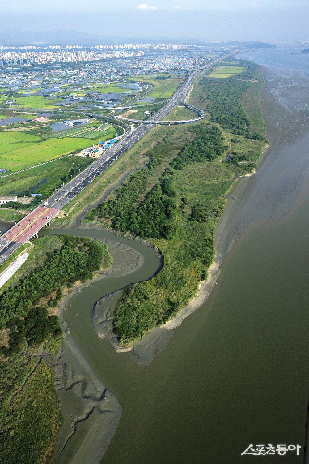 장항습지 전경. 사진제공ㅣ고양시 